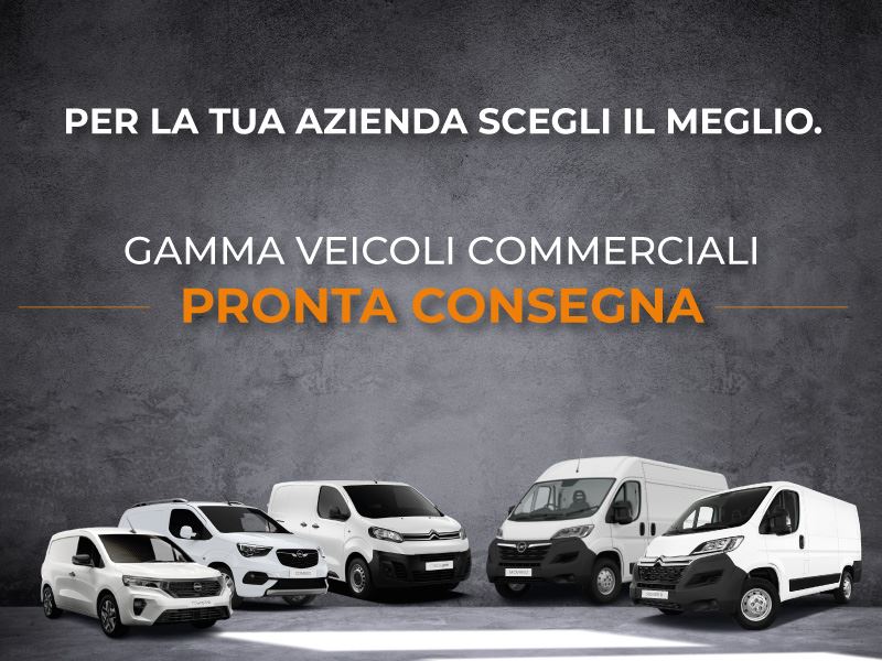 Veicoli Commerciali